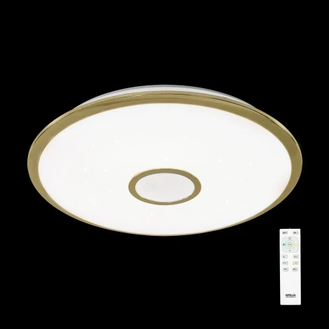 Потолочный светильник Citilux Старлайт R CL70382R