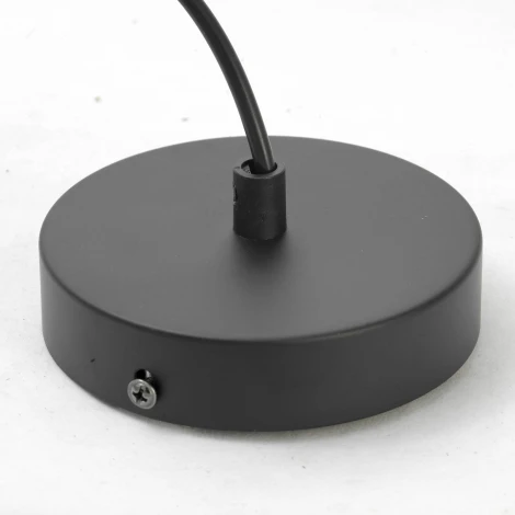 Подвесной светильник Lussole Loft LSN LSN-5416-01
