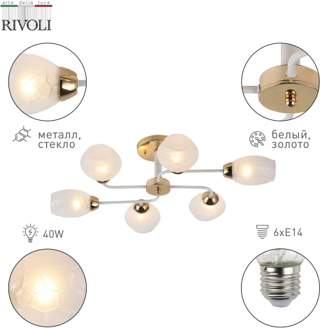 Потолочная люстра на штанге Rivoli Sabre 3128-306