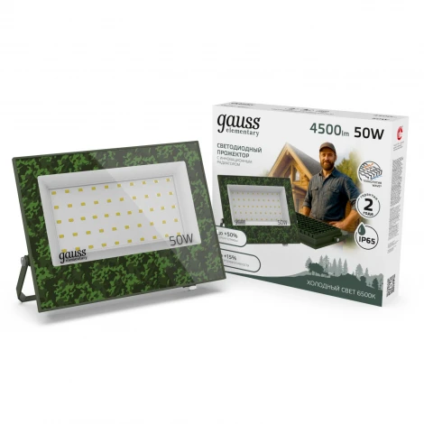 Прожектор уличный светодиодный Gauss GFD004