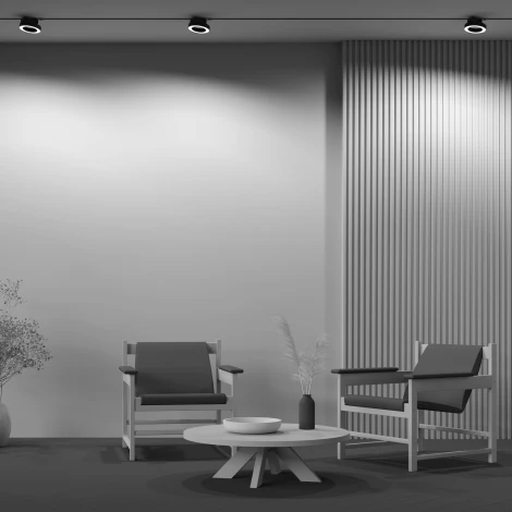 Трековый светильник Rim Unity 3000K 12Вт 110° LED (однофазный) Maytoni Technical TR044-1-12W3K-B (220V, кольцо)