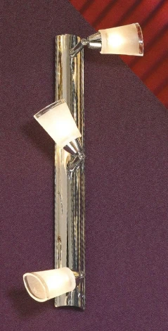 Настенно-потолочный светильник Lussole Rasen LSL-5091-03