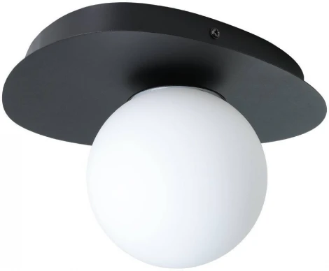 Настенный светильник IP44 Eglo Castrovido 902091 шар