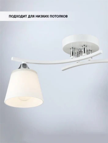 Потолочная люстра Wedo Light Aleno WD3635/2C-WT-CR-WT