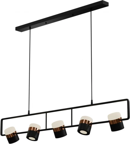 Подвесной светильник Wi-Fi Lightera Rudolf LE114L-5B SMART (LED, 220V, управление смартфоном, голосовое управление, умный дом - Алиса, Tuya Smart, Маруся, Smart Life, Экосистема Сбер, на проводе)