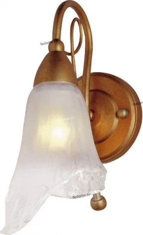 Бра N-Light B-1018 B-1018/1 cupreous with gold