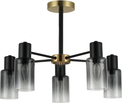 Потолочная люстра на штанге Reluce 74677-0.3-05 (220V)