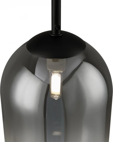 Подвесной светильник Freya Tesse FR1011PL-01B2 (220V, на проводе)