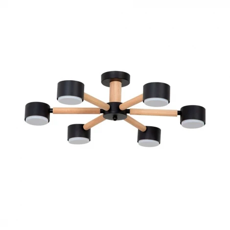 Потолочная люстра на штанге Arte Lamp Tenda A1624PL-6BK