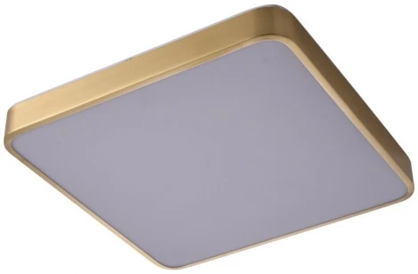 Потолочный светильник Zortes Monna ZRS.1209.03 (LED, 220V)