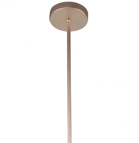 Подвесная люстра Favourite Himiko 2551-9P (220V, на проводе, круглые)