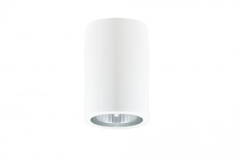 Потолочный светильник Donolux N1594 N1594-White