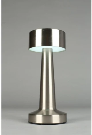 Настольная лампа светодиодная с выключателем Aployt Perrayn APL.671.14.01 (220V, круглые)