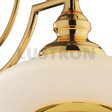Бра N-Light 164 164-01-31 gold