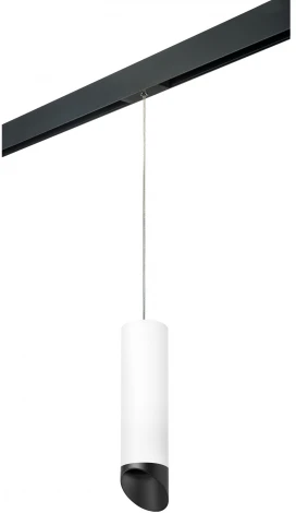 Трековый светильник однофазный 220V Lightstar Rullo PRORP649687 (круглые)