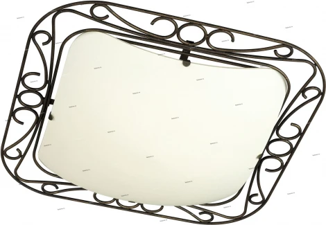 Massive Moira 30204-86-10