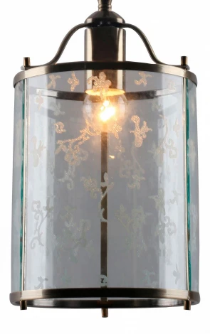 Подвесной светильник Arte Lamp Bruno A8286SP-1AB