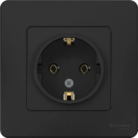 Розетка встраиваемая с заземлением (антрацит) Systeme Electric Blanca BLNRS001016