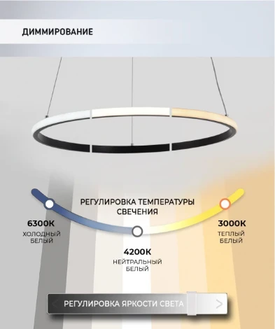 Подвесной светильник Wedo Light Lisel WD6021/1P-BK