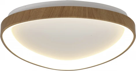 Потолочный светильник Mantra Niseko 8636 (регулировка яркости, LED, 220V, пульт управления)