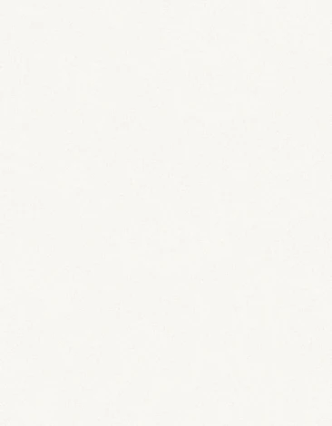 Обои виниловые Marburg New Spirit 32728 10,05 x 0,53 м