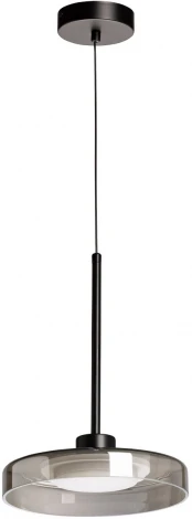 Подвесной светильник LED DeMarkt Стаут 702013501