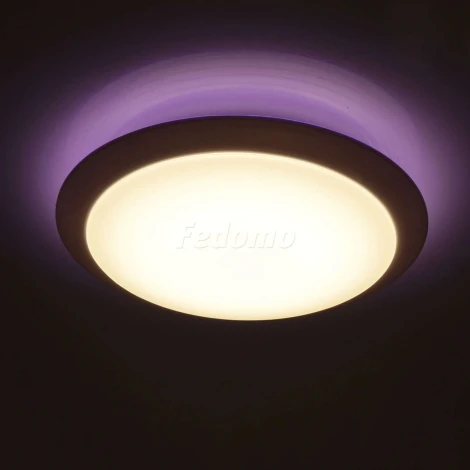 Потолочный светильник MW-Light Ривз 674014301