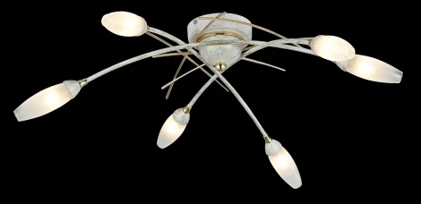 Потолочная люстра Maytoni Modern 7 MOD501-06-G