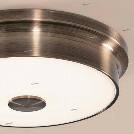 Накладной точечный светильник Citilux Фостер-2 CL706222