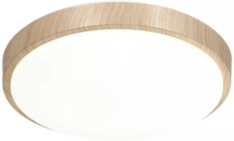 Настенно-потолочный светильник Losta 7607/EL Sonex (регулировка яркости, LED, 220V, пульт управления, круглые, IP43)