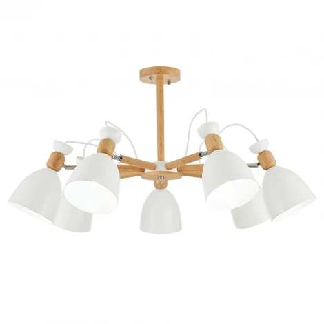 Потолочная люстра Evoluce Balcamo SLE103802-07 (220V)