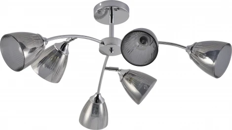Потолочная люстра на штанге Rivoli Francheska 9179-306