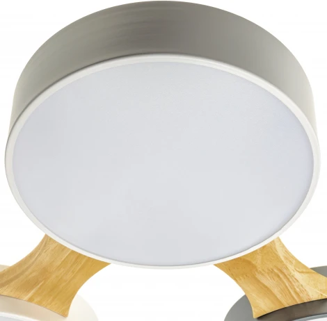 Потолочный светодиодный светильник Ritter Scandia 52071 9