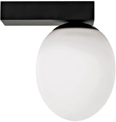 Настенный светильник Nowodvorski Ice Egg C Black 8132 (220V, шар, IP44)