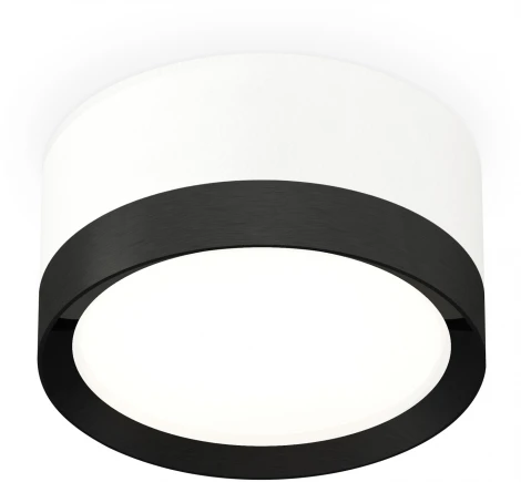 Накладной точечный светильник Ambrella Techno Spot XS8101002 (220V, круглые)