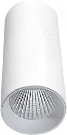 Накладной светильник Donolux Rollo DL18895R10N1W (LED, 220V, круглые)