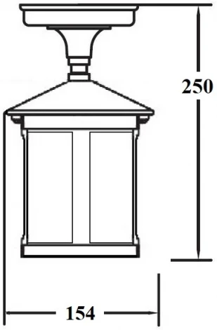 Потолочный светильник уличный Oasis Light CORDOBA 18205A Bl