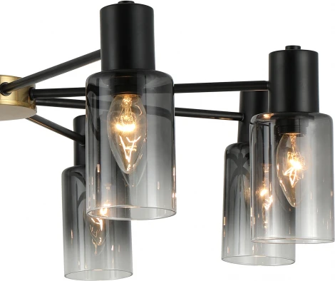 Потолочная люстра на штанге Reluce 74677-0.3-08 (220V)