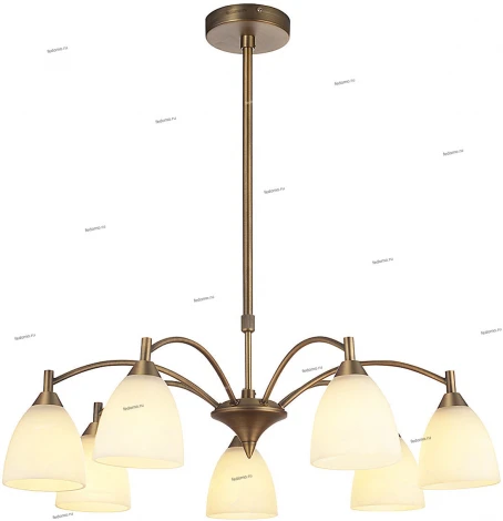 LuceSolara 2003 2003/7P