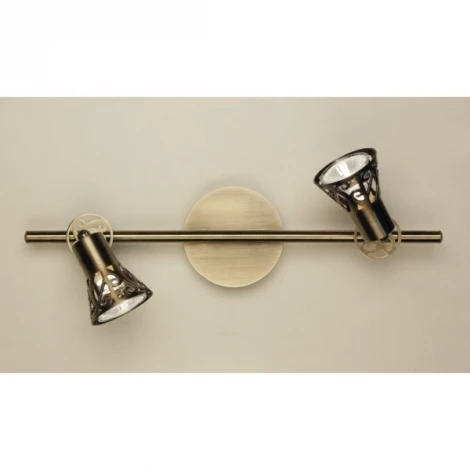 Спот на штанге Citilux Винон CL519523 (220V, круглые)