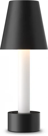 Интерьерная настольная лампа Maytoni Tet-a-tet MOD104TL-3AB3K (LED, выключатель)