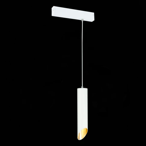 Трековый светильник однофазный 220V Skyline 220 ST508.503.01 ST Luce (круглые)