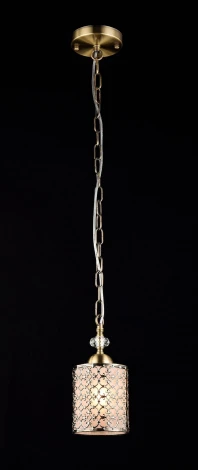 Подвесной светильник Maytoni Sherborn RC015-PL-01-G