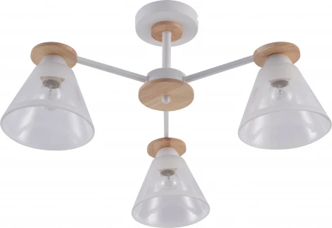 Потолочная люстра на штанге Rivoli Theothila 9177-303