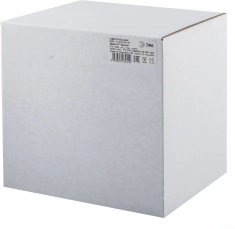 Настенный фонарь уличный ЭРА НБУ 07-40-004 «Дели 3» белый (220V, IP44)