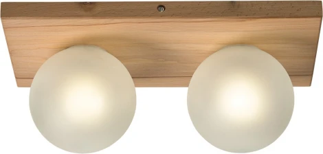 Потолочный светильник Мелодия Света SS1N 6426N-2 NL 000067489