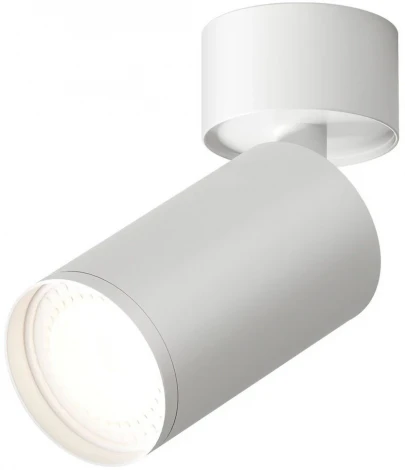 Накладной точечный светильник Denkirs DK2029-WH (LED, 220V, круглые)