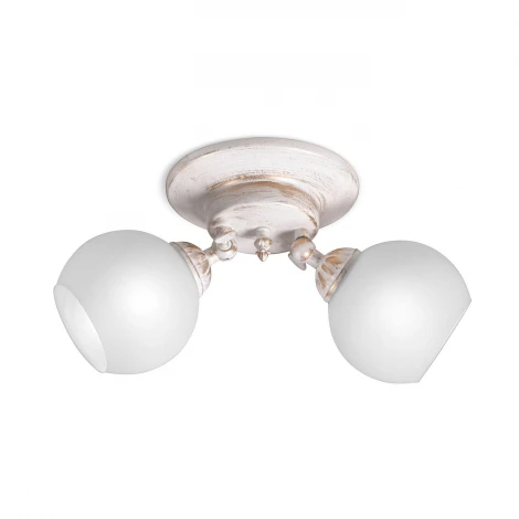 Спот Day&Night, 2 плафона, белый с золотом