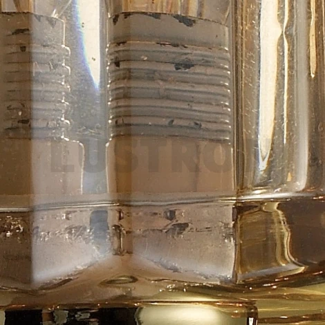 Бра N-Light 919 919-01-31G gold + shampagne