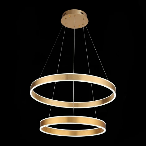 Подвесная люстра ST Luce Onze SL944.203.02